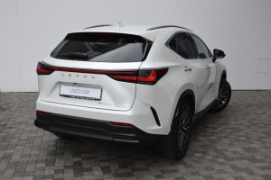 LEXUS